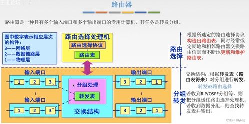 計算機網(wǎng)絡(luò)信息管理與服務(wù)在網(wǎng)絡(luò)層中的關(guān)鍵作用